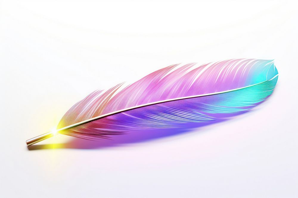 Simple parrot feather white background lightweight accessories.