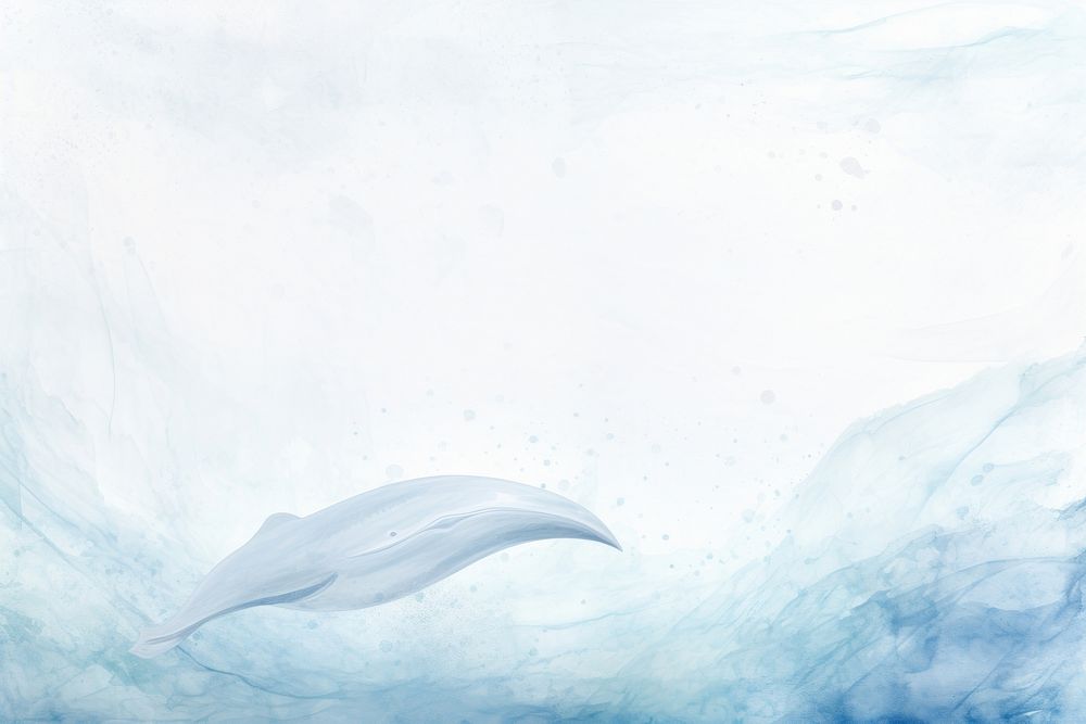 Abstract white whale background backgrounds abstract textured.