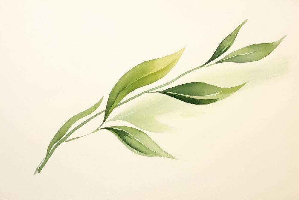 Olive leaf plant calligraphy creativity.