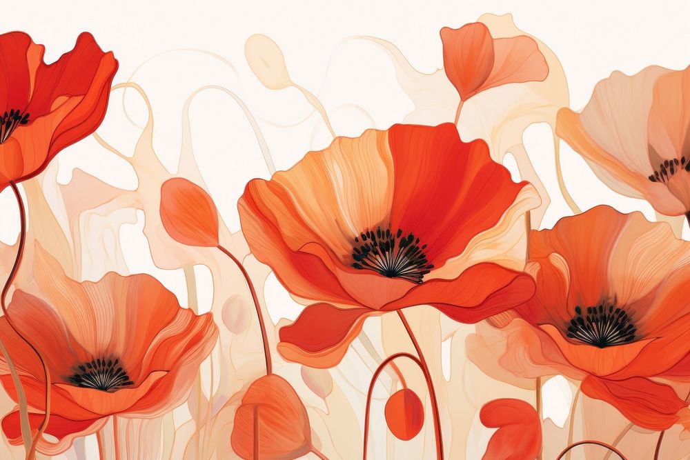 Poppies red and orange backgrounds flower poppy.