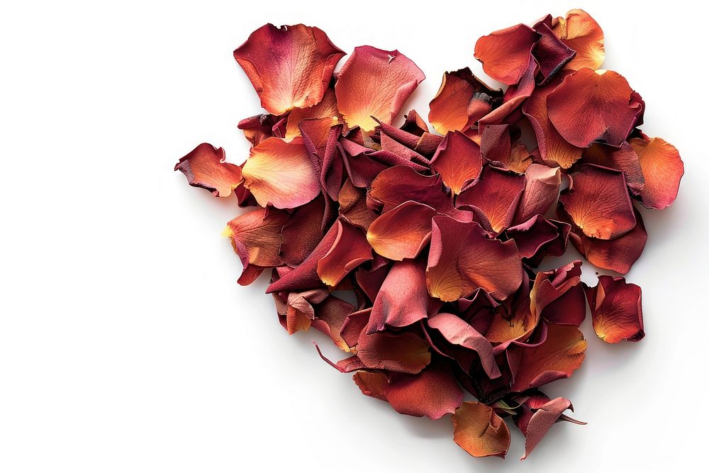 Rose petals arranged in heart shape flower plant leaf.