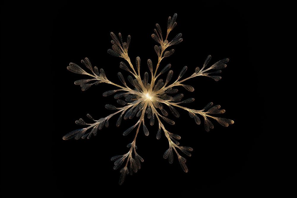 Gold snowflake chandelier night black background.