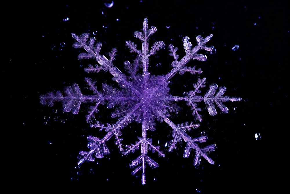 Purple snowflake black background illuminated celebration.