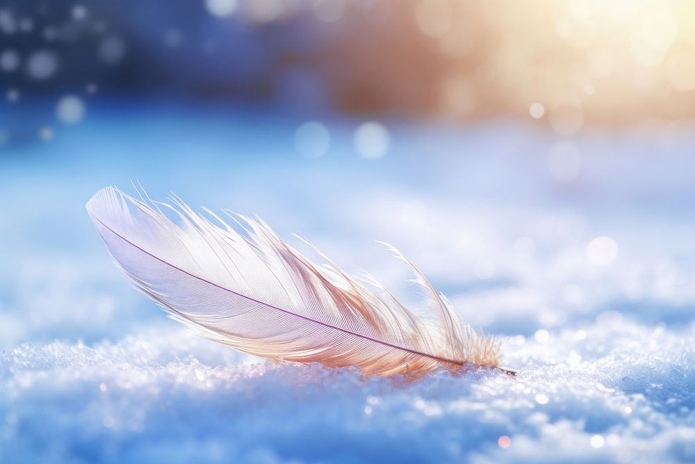 Holographic feather on snow outdoors nature lightweight.