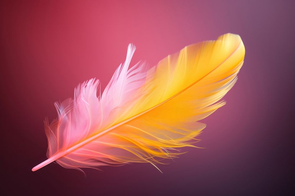 Yellow neon feather pink red lightweight.