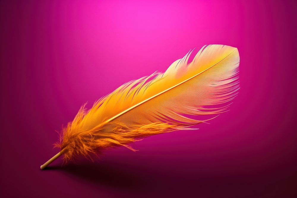 Yellow neon feather purple pink red.