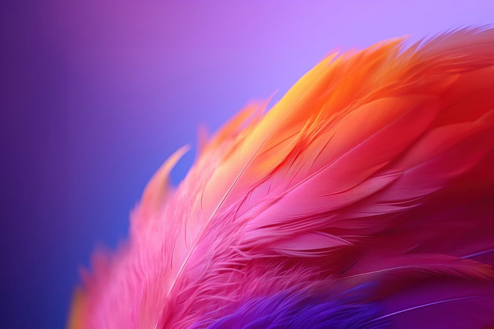 Yellow neon feather pattern purple pink.