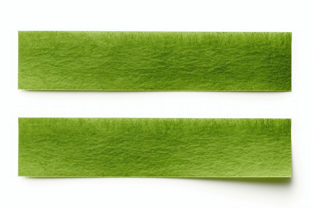 PNG Green adhesive strip backgrounds plant white background.