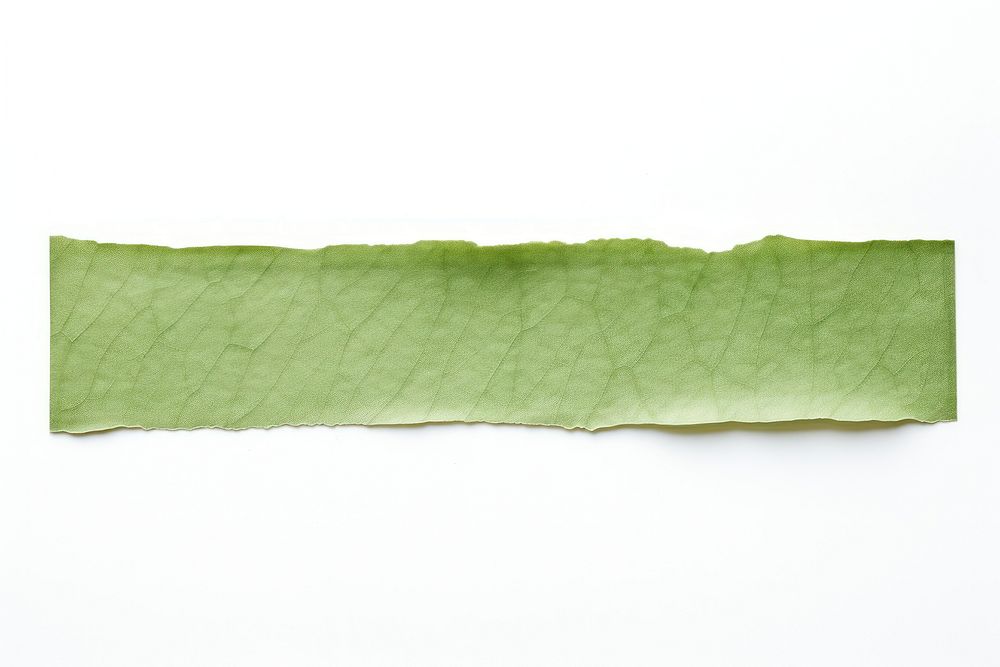 Green paper adhesive strip leaf white background rectangle.