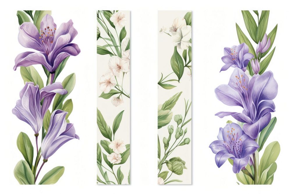 Flower illustration pattern adhesive strip blossom plant herbs.
