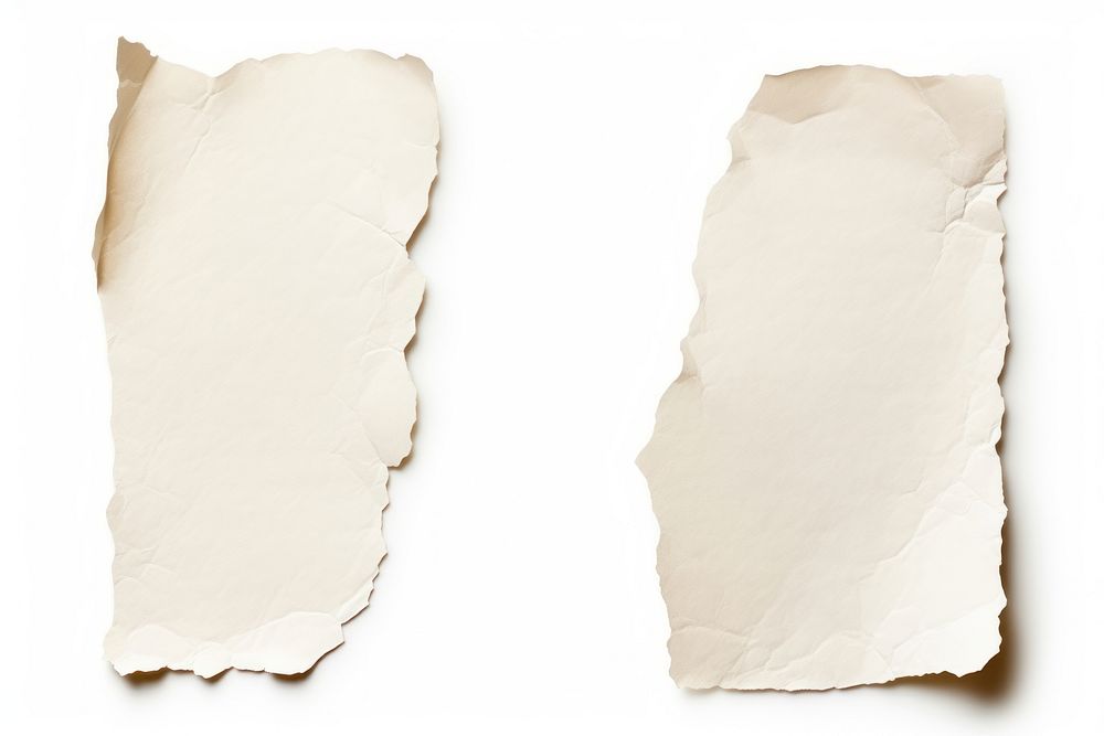 Ripped paper adhesive strip backgrounds rough white.