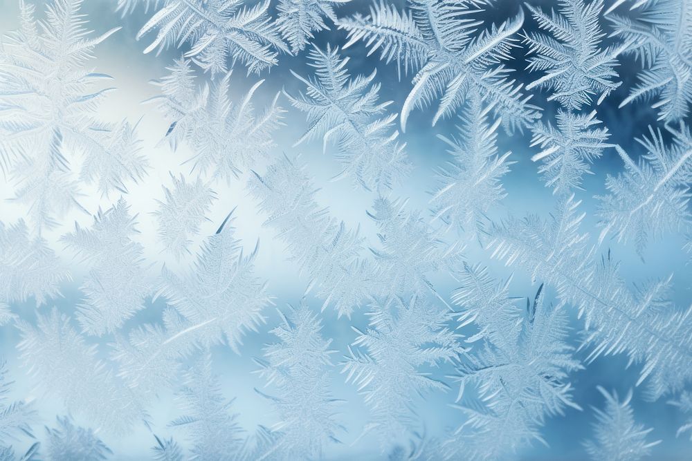 Winter frost ice backgrounds.