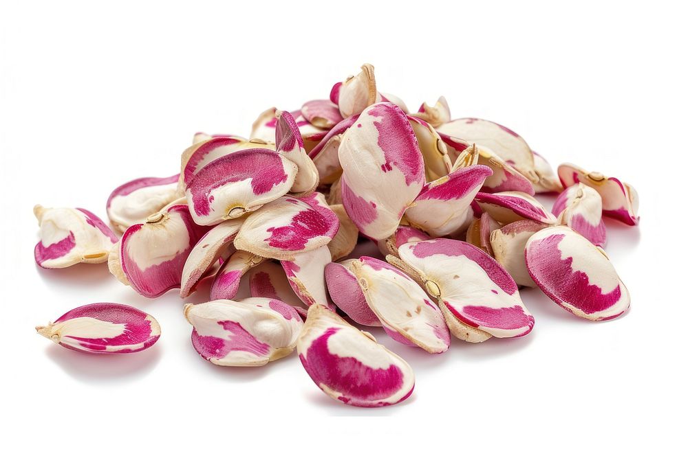 Cranberry beans plant food white background.