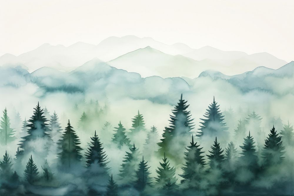 Misty landscape with fir forest mist backgrounds outdoors.
