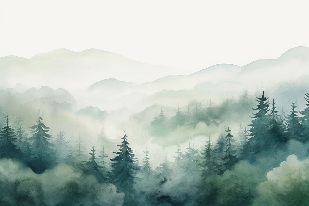 Misty landscape with fir forest mist backgrounds outdoors.