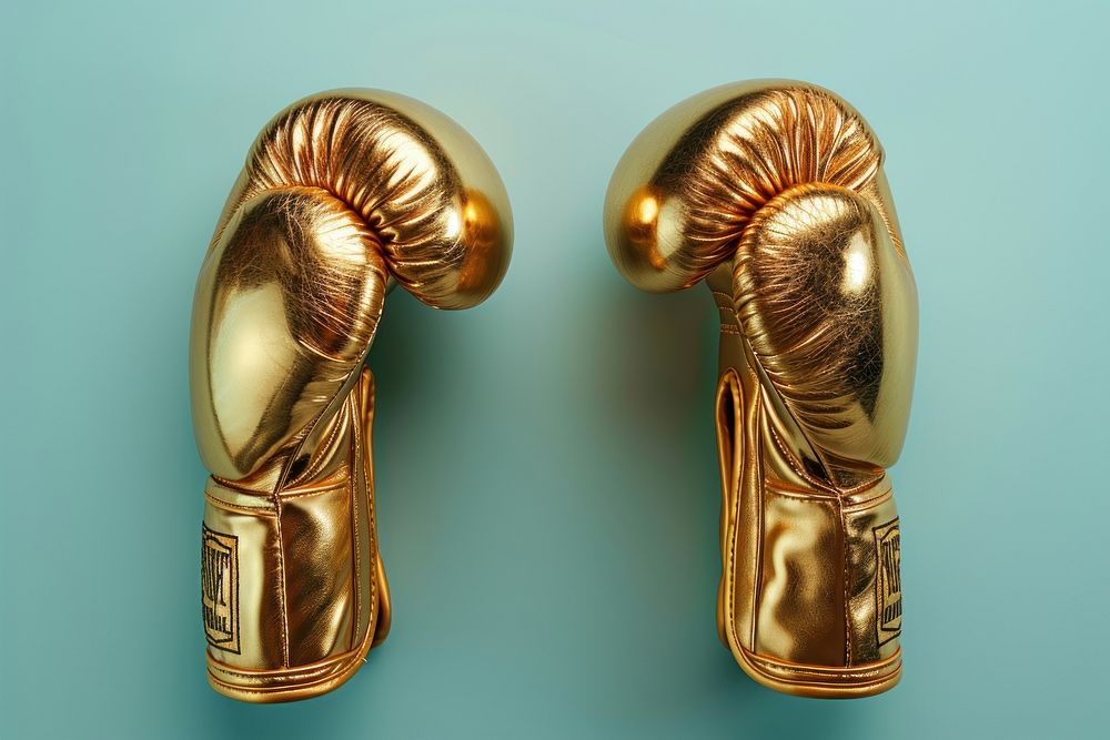 Golden boxing gloves bronze representation accessories.