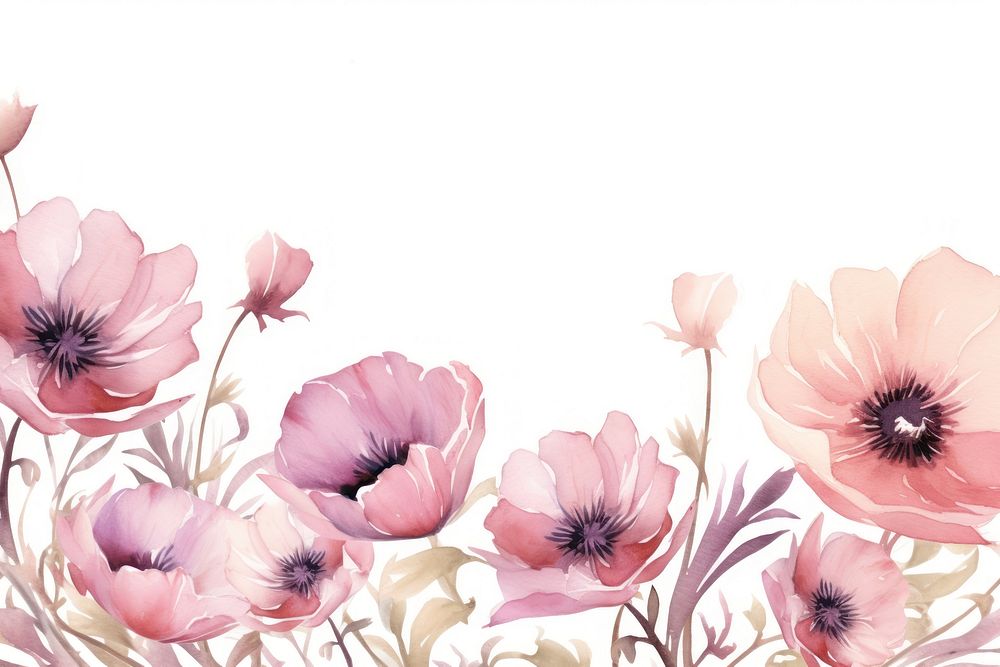 Anemone border watercolor backgrounds blossom flower.