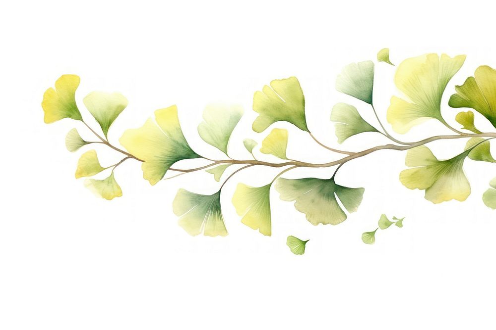 PNG Ginkgo border watercolor pattern plant leaf.