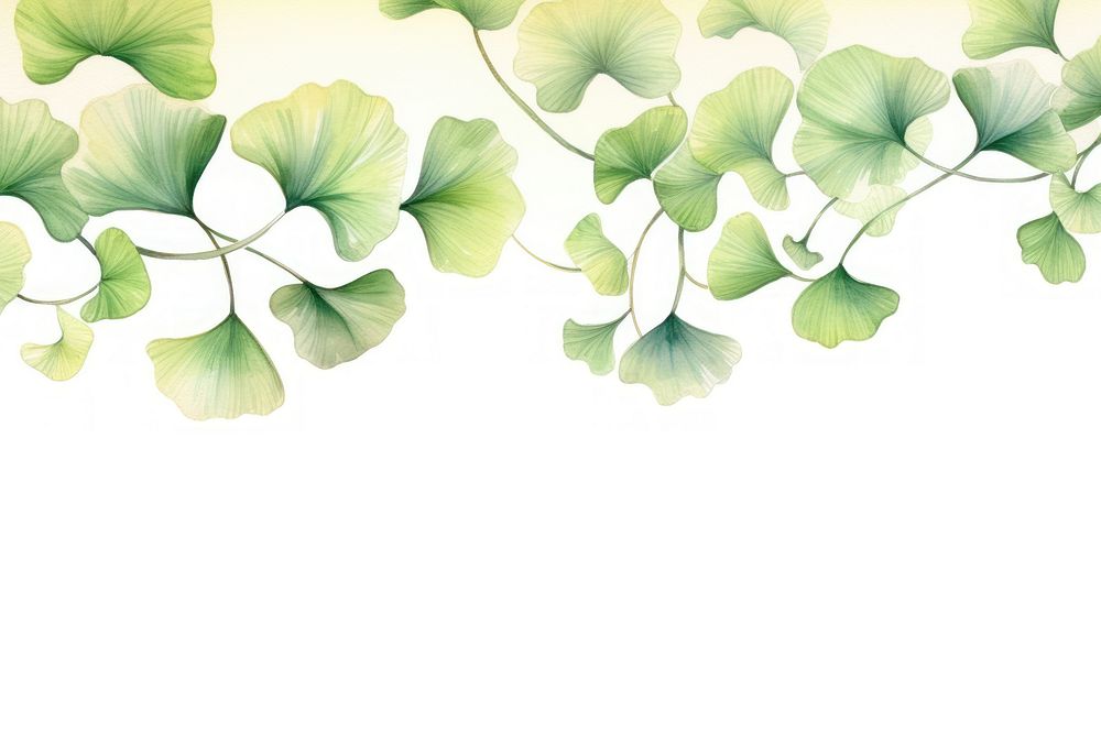 PNG Ginkgo border watercolor backgrounds pattern plant.