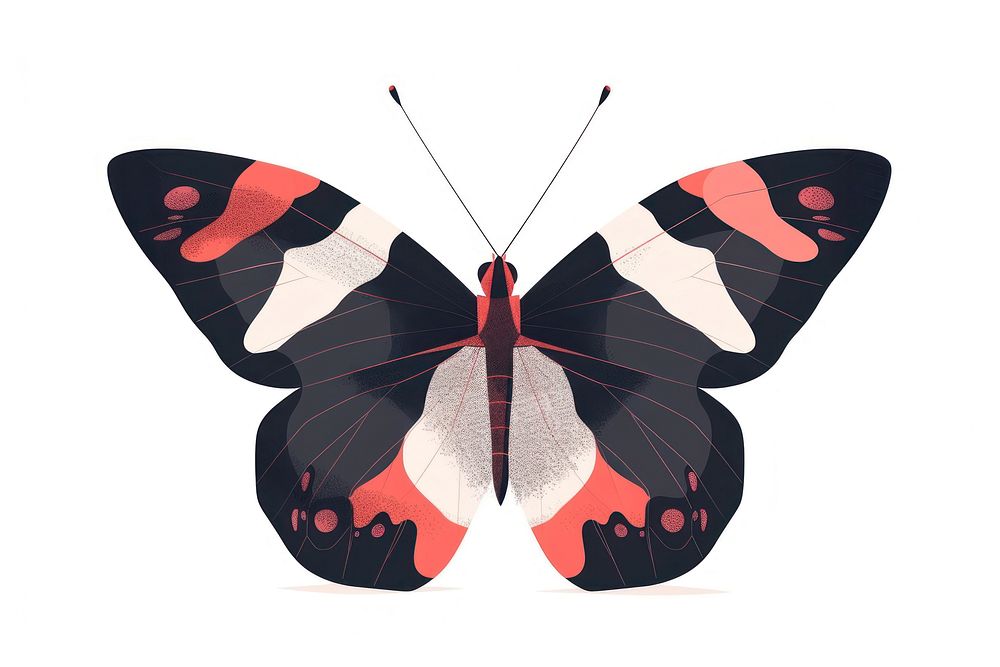 Minimal geometric butterfly animal insect moth.