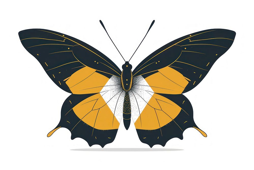 Minimal geometric butterfly cartoon insect animal.