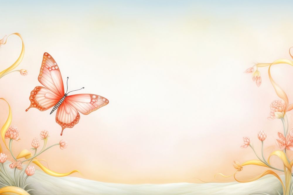 Painting of butterfly closeup border backgrounds pattern fragility.