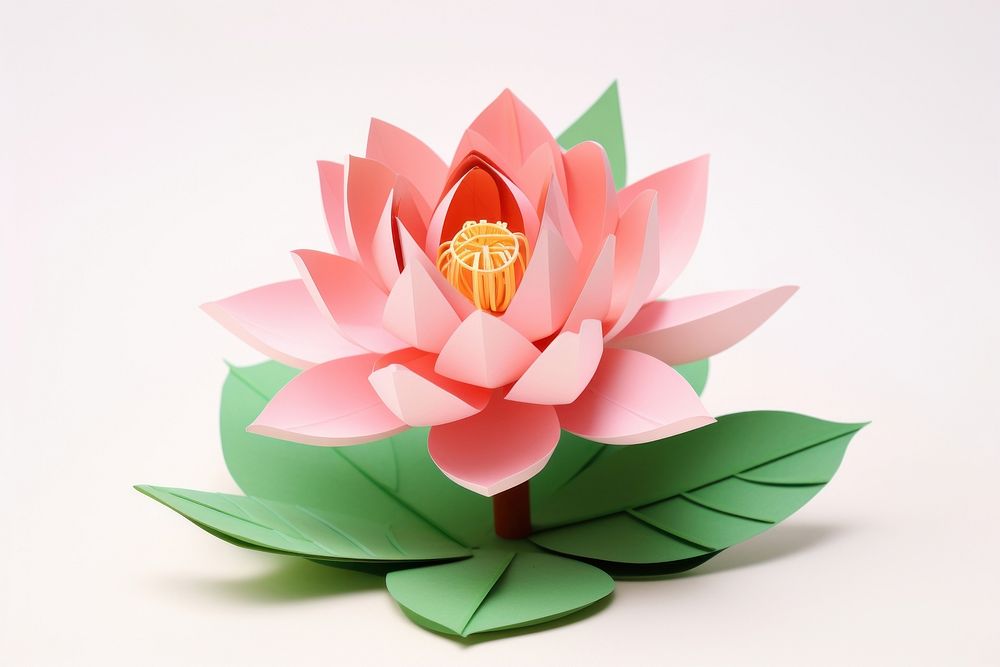 3d Paper lotus flower petal plant.