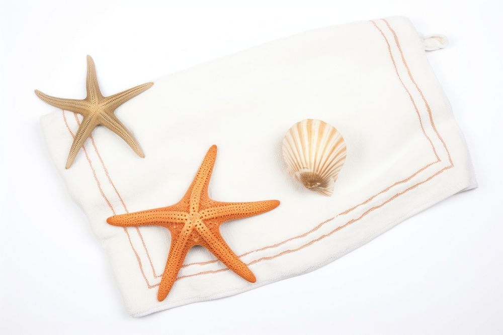 Beach border starfish holiday towel.