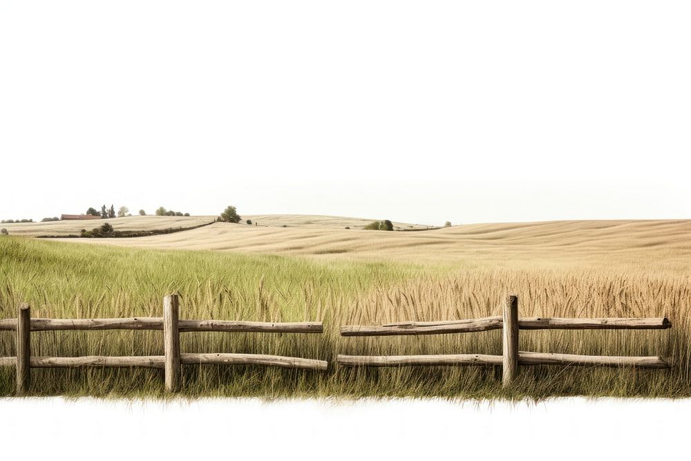 Farmland border landscape nature grassland.