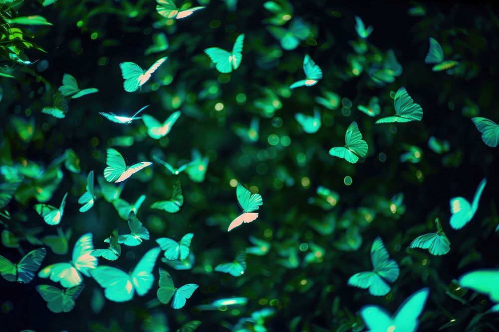 Bioluminescence Butterflies background green backgrounds outdoors.