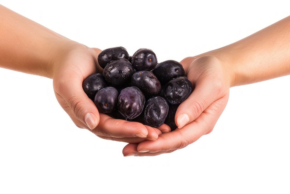 Plums prunes in hands blueberry fruit plant.
