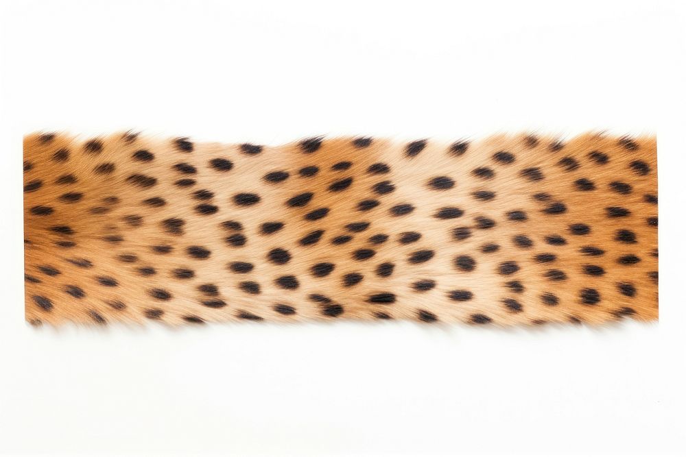 Animal pattern adhesive strip cheetah leopard white background.