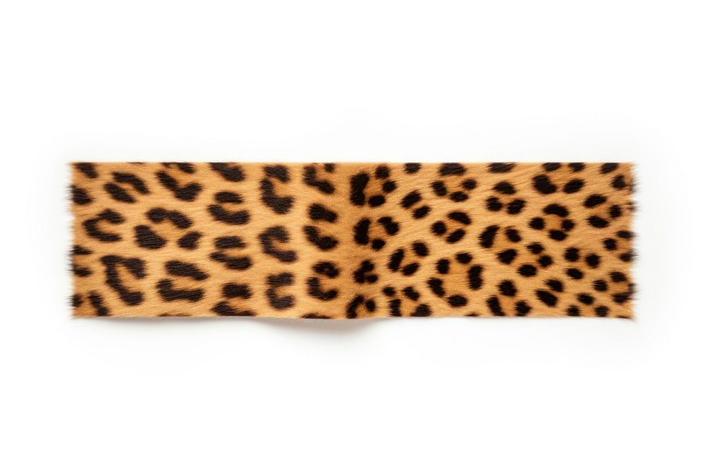Animal pattern adhesive strip leopard mammal white background.