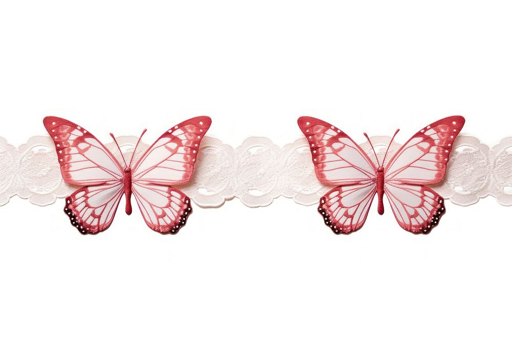 Decorative tape adhesive strip butterfly pattern white background.