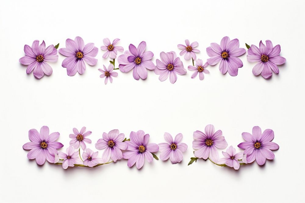 Flower pattern adhesive strip blossom purple petal.