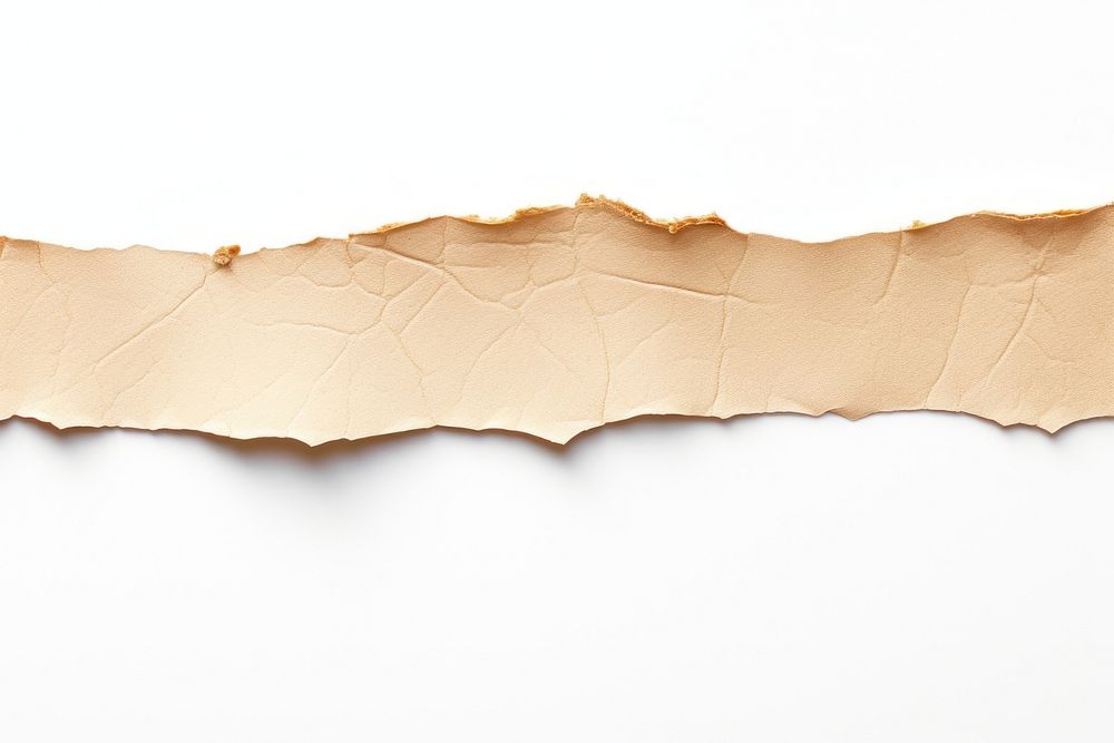 Ripped paper adhesive strip backgrounds leaf white background.