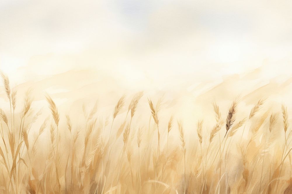 Wheat field watercolor background agriculture backgrounds outdoors.
