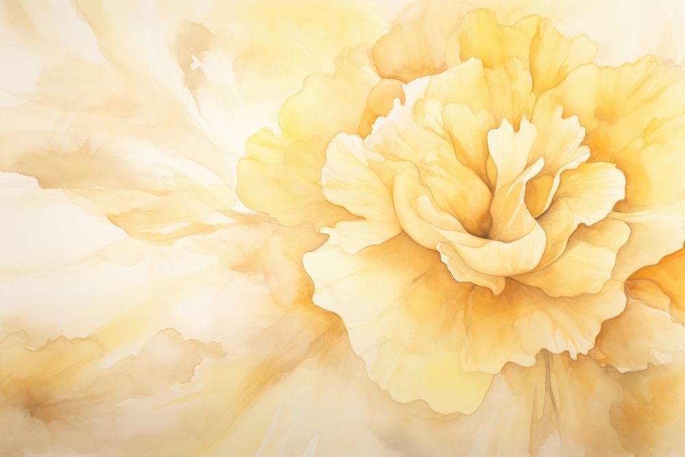 Yellow carnation watercolor background backgrounds painting flower.