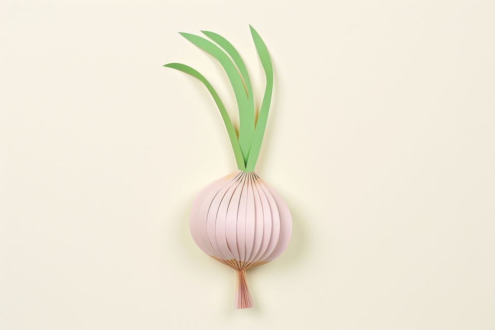 Illustration of a onion vegetable plant food.