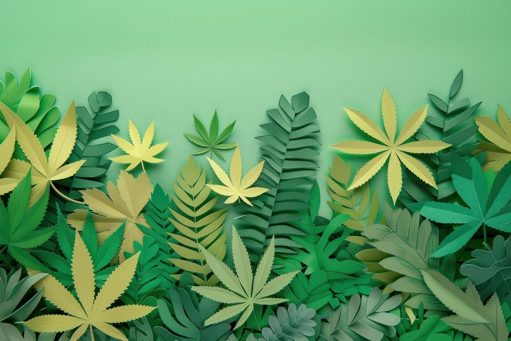 Backgrounds cannabis plant green.