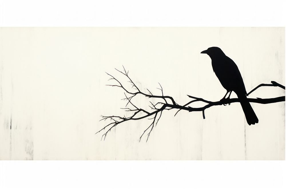 A crow silhouette animal black.