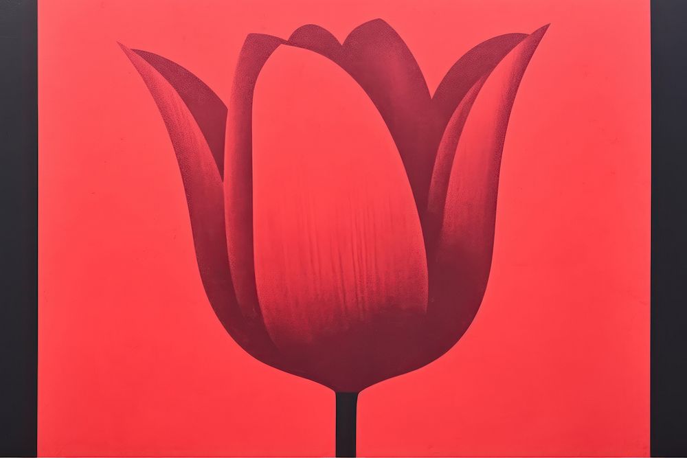 Tulip flower plant red.