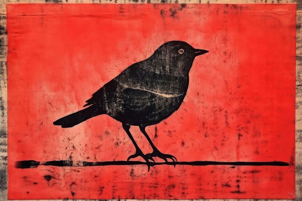 Bird blackbird painting animal.