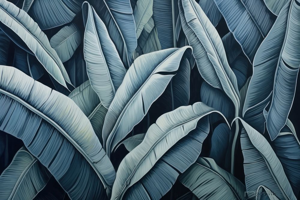 Banana leaves backgrounds plant leaf.