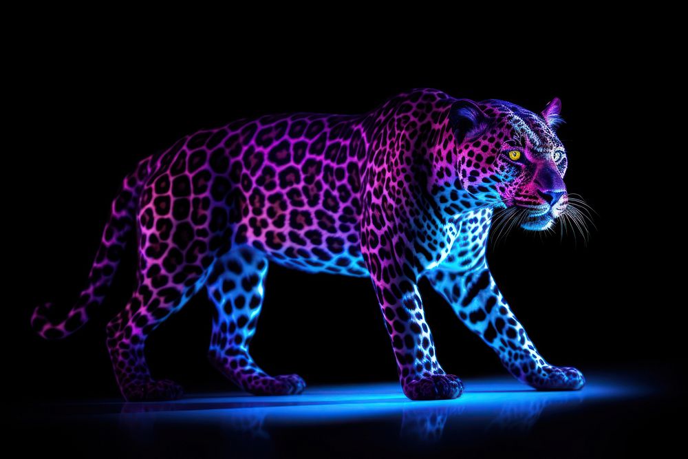 Neon full body of leopard wildlife animal mammal.