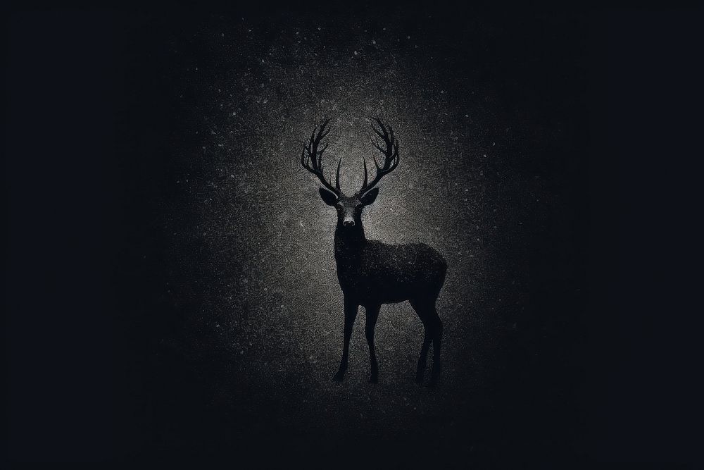 Deer nature silhouette wildlife.