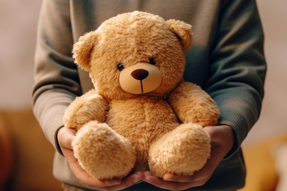 Person holding teddy bear toy representation softness.