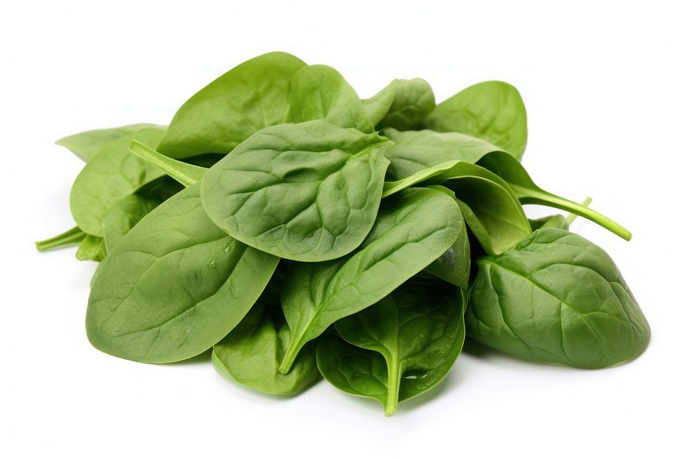 Baby spinach vegetable plant food.