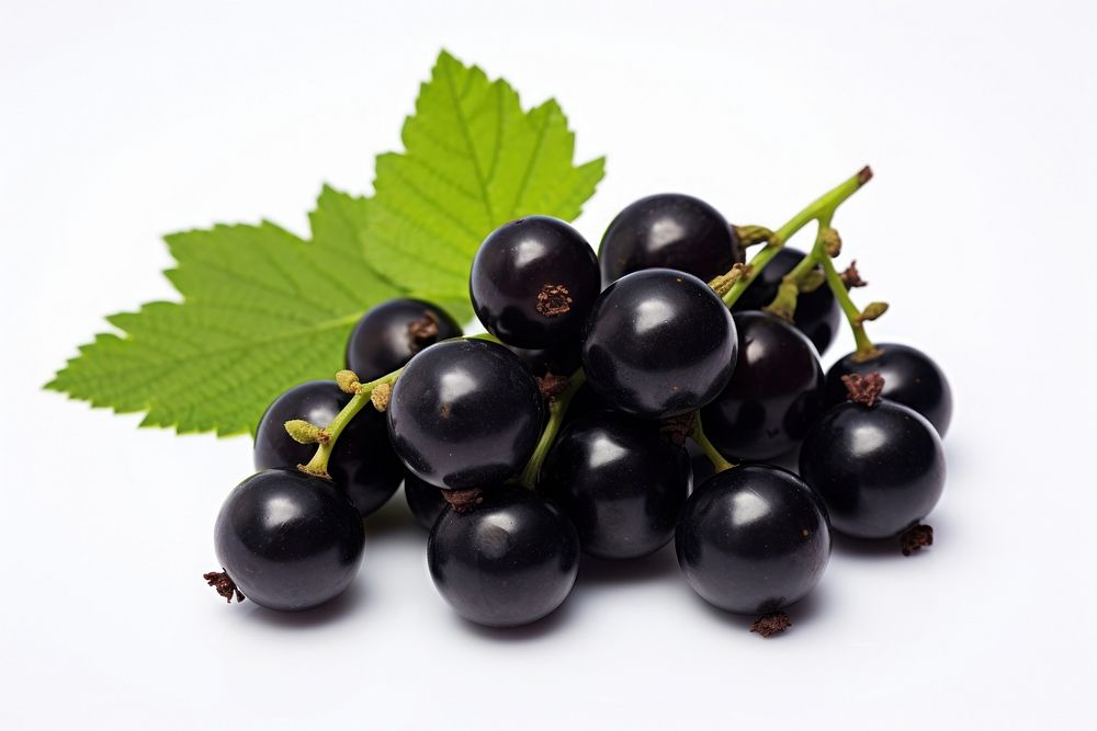 Black currant blueberry grapes fruit.