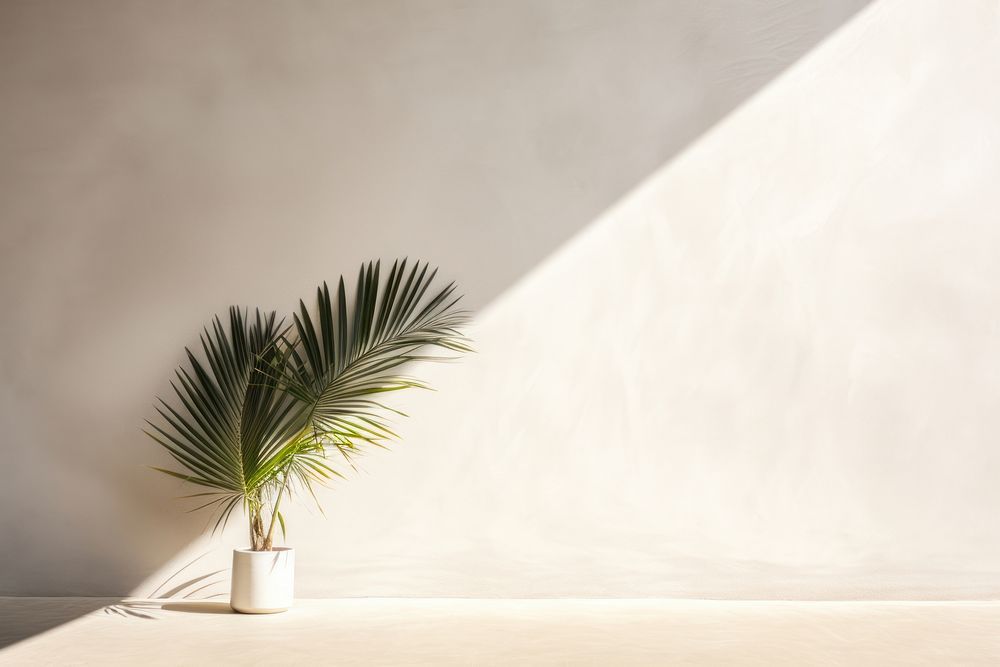 Serene empty palm shadow plant leaf vase.